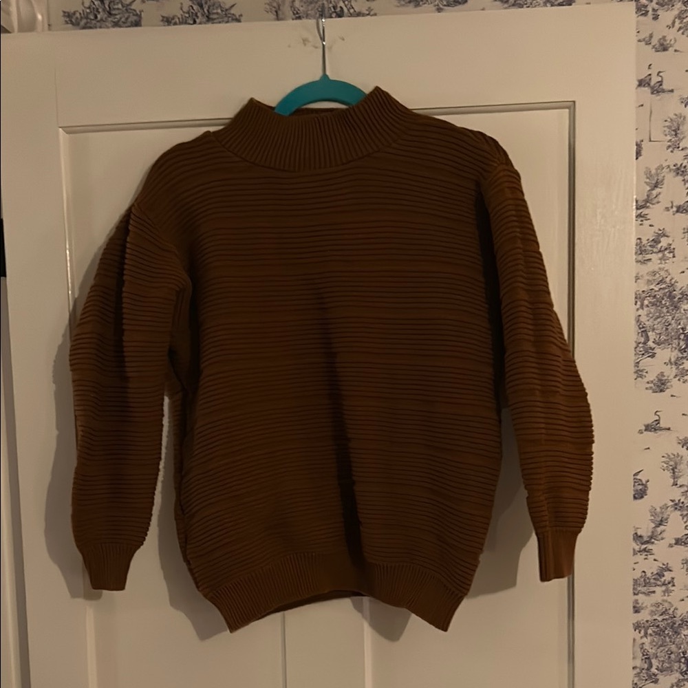 Robin Kay Brown Turtleneck Sweater